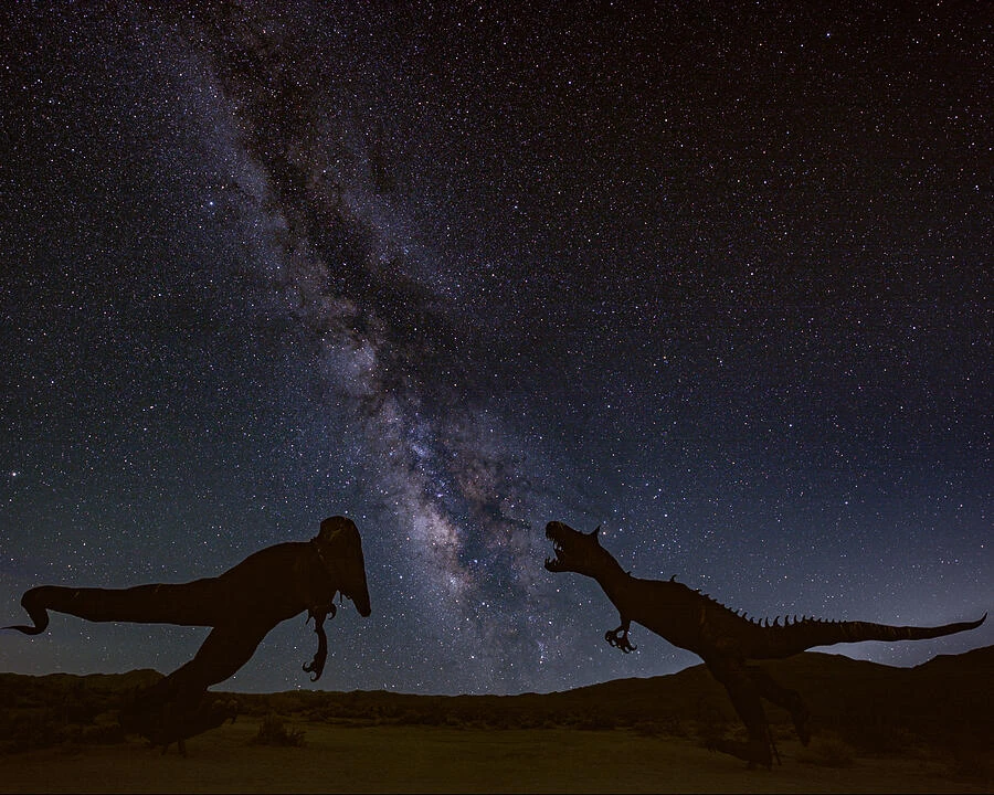 Ancient Battle — photograph by Bruce Feagle