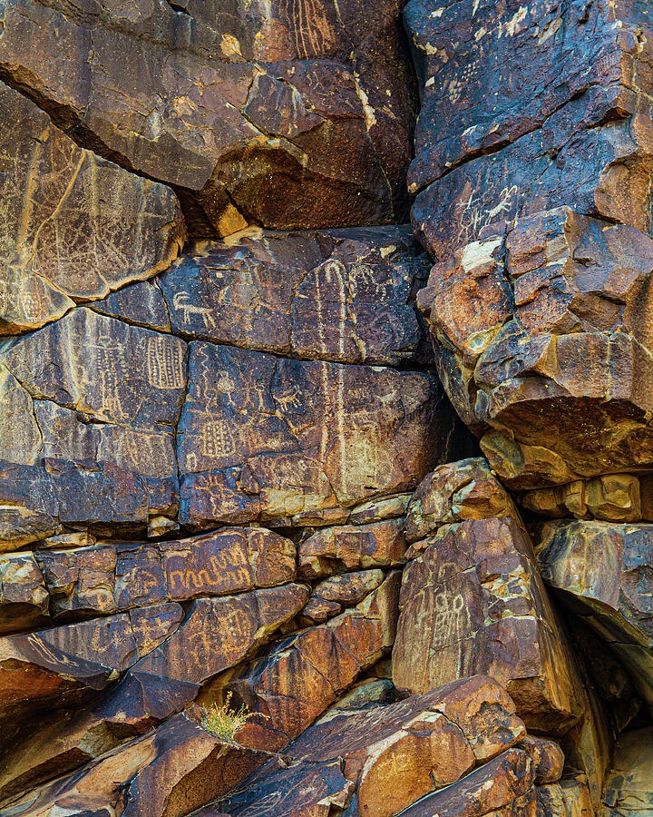 Ancient petroglyphs in the Coso Rock Art District of California’s Mojave Desert.