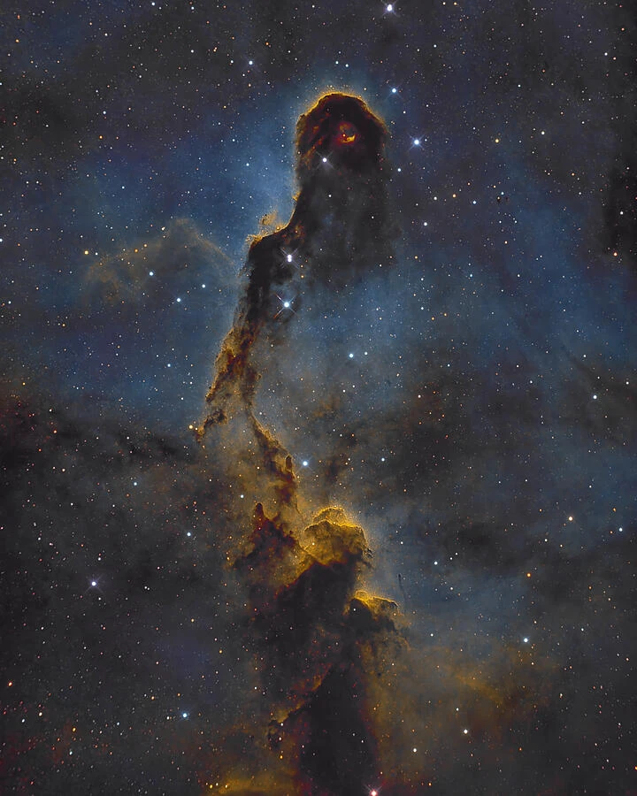 The dark, winding clouds of the Elephant’s Trunk Nebula within IC 1396.