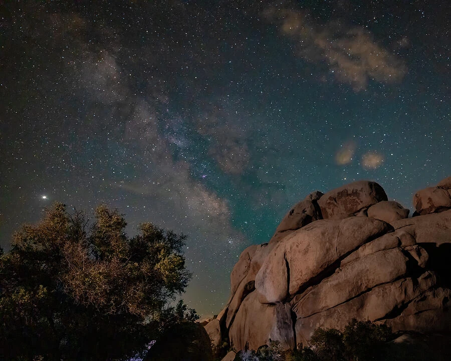The Milky Way above large desert boulders and trees beneath a star-filled night sky.