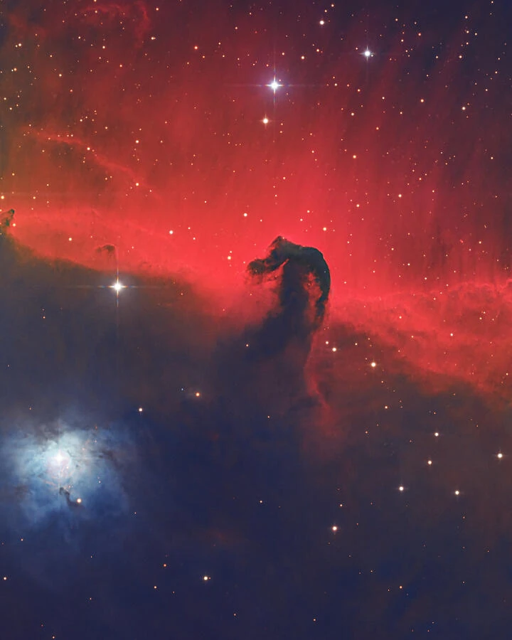 The Horsehead — photograph by Bruce Feagle