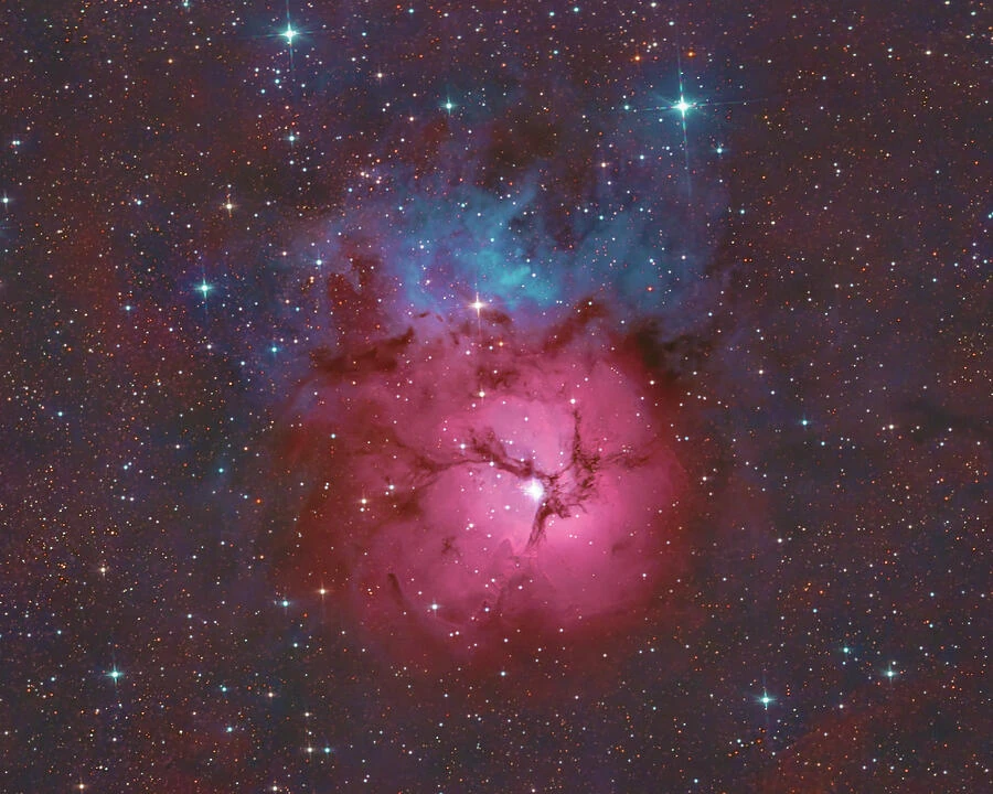 The Trifid Nebula, where glowing gas is divided by branching dark dust lanes.