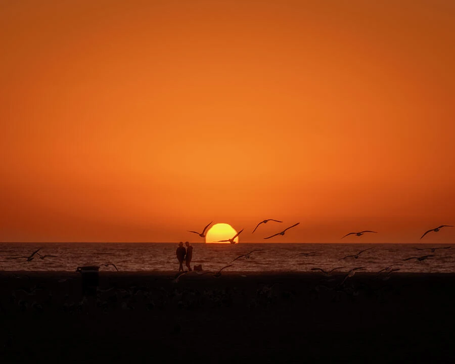 Beachgoers and flying seagulls silhouetted against an orange sunset over the sea.